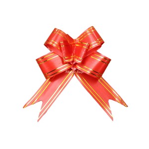 LAÇOS PARA PRESENTES 30