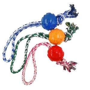 BRINQUEDO BORRACHA BOLA COM CORDA ZN 0865